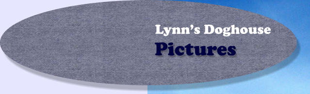 Pictures Lynn’s Doghouse