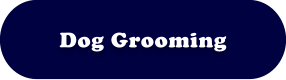 Dog Grooming