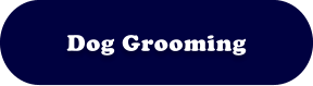Dog Grooming