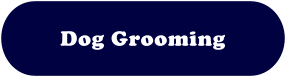 Dog Grooming