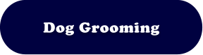 Dog Grooming