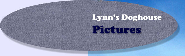 Pictures Lynn’s Doghouse